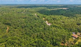 4814 NW 244 Ave, Alachua, FL 32615