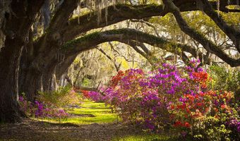 2843 Saltwater Bnd, Beech Island, SC 29842