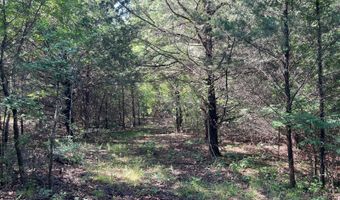 796 Blue Branch Rd, Bennington, OK 74723