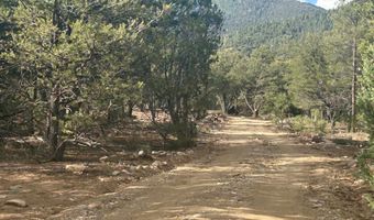 Tract B 266 Gallina Canyon Road, Valdez, NM 87580
