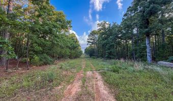 Old Moyers Road, Antlers, OK 74523