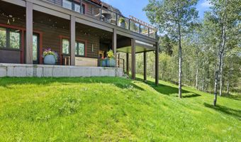 1271 Ute Ave, Aspen, CO 81611
