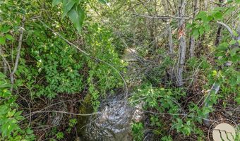 6 Washoe Cir, Bearcreek, MT 59007