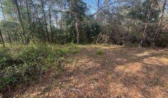 Delta Woods Drive, Bay Minette, AL 36507