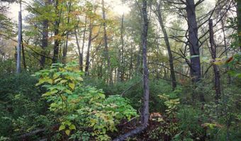 0 Midline Rd, Amsterdam, NY 12010