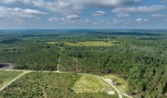 542 Lilla B Gaskins Rd, Alapaha, GA 31622