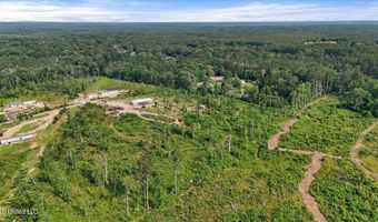 135 Sawmill Rd, Braxton, MS 39044