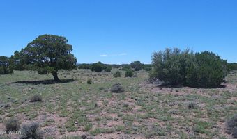 Tbd Windsor Valley Ranch Lot 87, Concho, AZ 85924