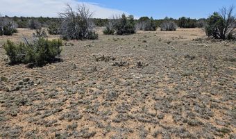 ACR N8388 and N8385, Concho, AZ 85924