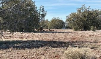00- D N Dunbar Blvd, Ash Fork, AZ 86320
