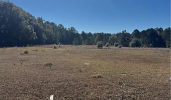 353 Wilder Rd, Allenhurst, GA 31301