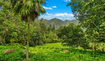 597 PUUOPAE Rd, Kapaa, HI 96746