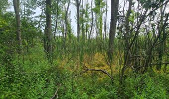 45 Acres 108th Ave, Allegan, MI 49010