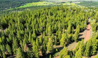 9454 Ridge Rd, Alturas, CA 96101