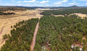 8 County Road 2267, Alpine, AZ 85920