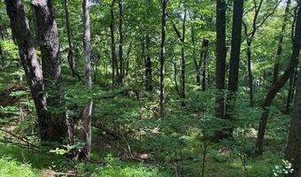 281 Scotts Branch Rd, Amherst, VA 24521