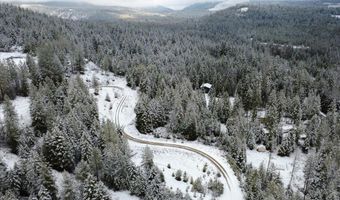 84 Hagans Hallow Rd, Careywood, ID 83809