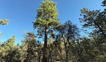Bunting Drive, Bonanza, OR 97623