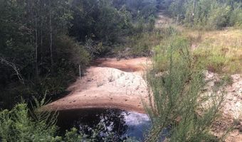 80 AC Old River Rd, Baker, FL 32531