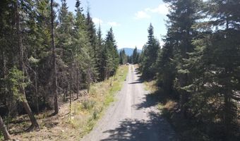 L4b1 Forsgren Ln, Athol, ID 83801