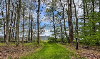 State Route 28 lot # 10, Andes, NY 13731