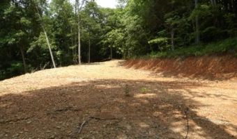 8 63ac Gravely Hill Rd, Bethpage, TN 37022