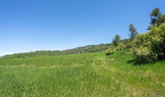 Lots 1 & 2 LEVER SPRINGS Road, Alpine, WY 83128