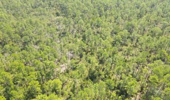 21947 NW Isoletta Rd, Altha, FL 32421