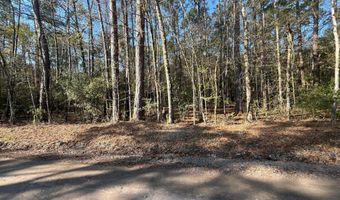 Lot 4b Old Military Rd, Adams Run, SC 29426