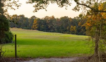 100 Acres Harmony Church Rd, Andalusia, AL 36421