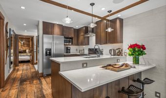 610 S West End St K102, Aspen, CO 81611