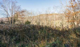 1361 Weaver Hollow Rd, Andes, NY 13731