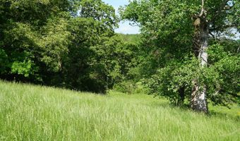 339 MCNUTT Rd, Bear Creek, AL 35543