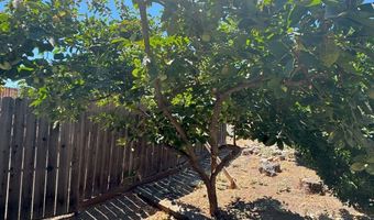 3323 Blythe Dr, Antioch, CA 94509