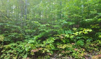 Fox Hollow Dr lot 17, Bastian, VA 24314