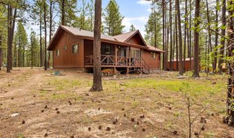 4 County Road 2089, Alpine, AZ 85920
