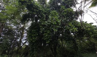 15-1788 8TH Ave, Keaau, HI 96749