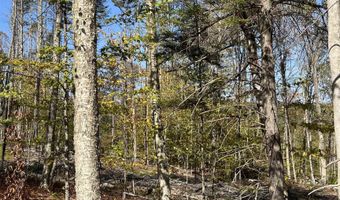 Map 227 Lot 007 Underwood Road, Acworth, NH 03601