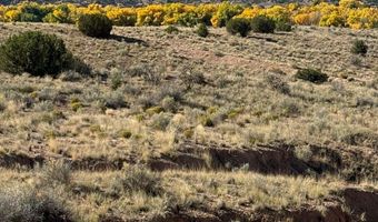 DUANE Street, Abiquiu, NM 87510