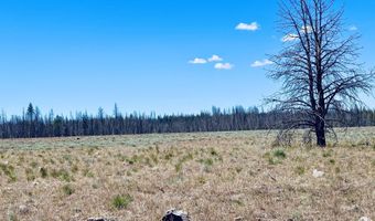 White Birch Lane lot 4, Bly, OR 97622
