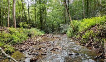 1034 Chestnut Flats Rd, Andrews, NC 28901