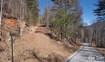 99999 Green Ridge Falls Rd 17, Barnardsville, NC 28709