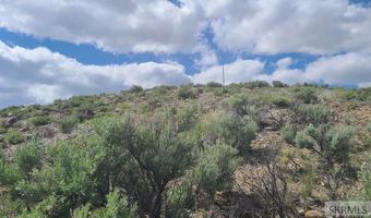 6 Homestead Trl, Challis, ID 83226