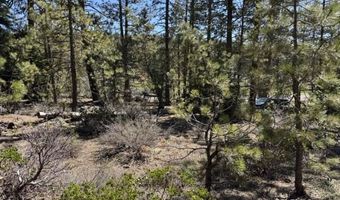 Horned Owl Lane, Bonanza, OR 97623