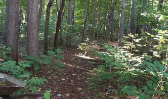 420 Pine Land Dr SE, Ada, MI 49301
