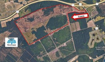 Highway 319 E, Aynor, SC 29511