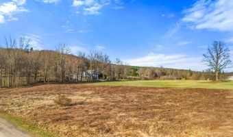 L43.3 Fairway Court, Afton, NY 13730