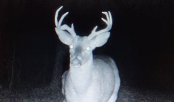 50 Acres Scenic Hwy, Attalla, AL 35954