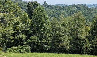 Paradise Mountain Lane lot 2, Bean Station, TN 37708