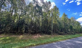 PINEPITCH Road, Harrington, DE 19952